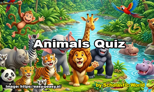 Quiz