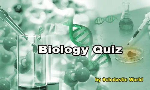 Quiz Image
