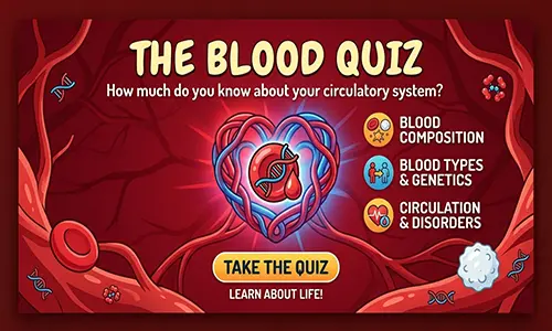 Quiz Image