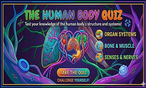 Quiz Image