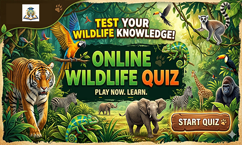 Quiz